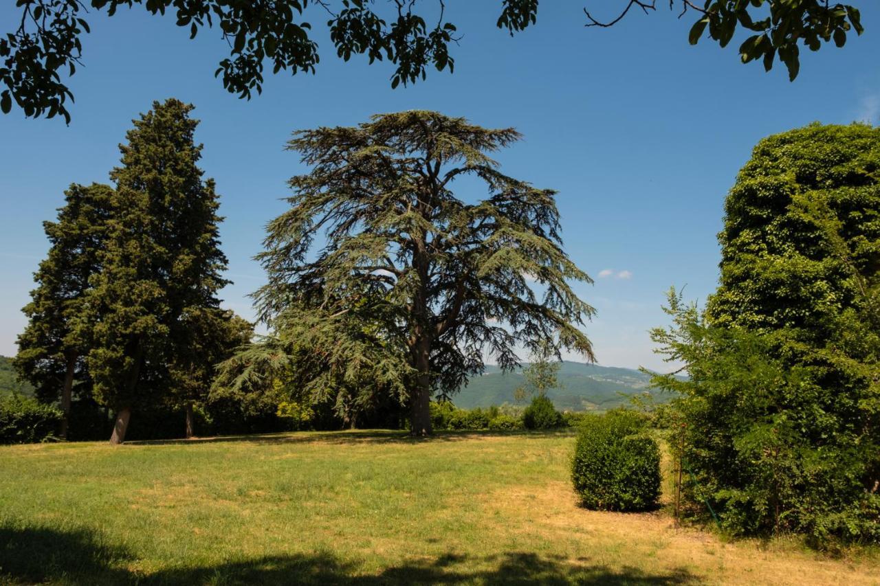 Agriturismo Fattoria Lavacchio Pontassieve Exterior photo