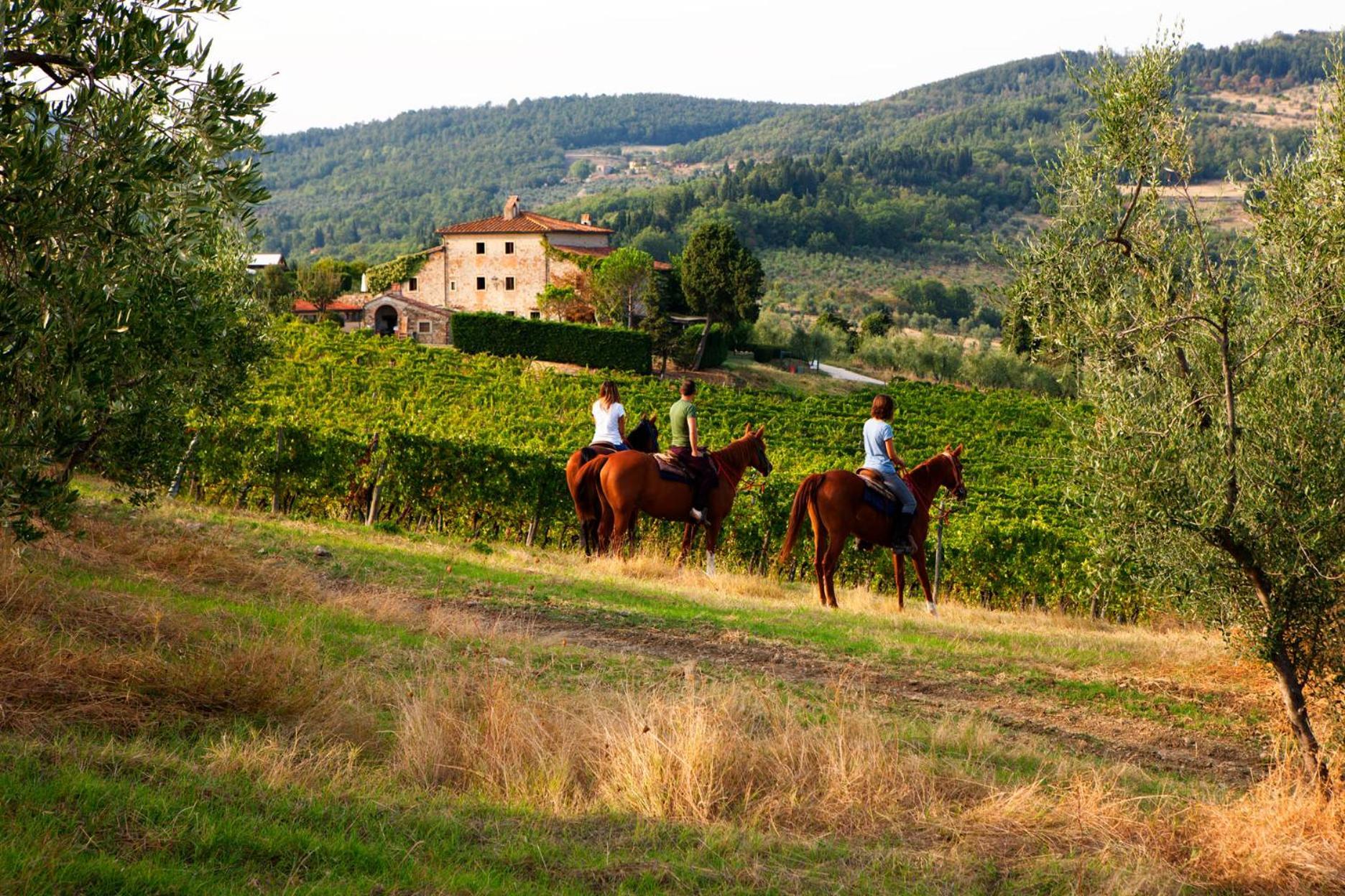 Agriturismo Fattoria Lavacchio Pontassieve Exterior photo